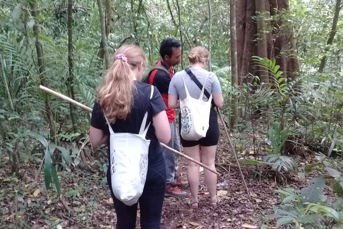 Combine of Tamblingan Waterfall and Twin Lake Tour - Key Points