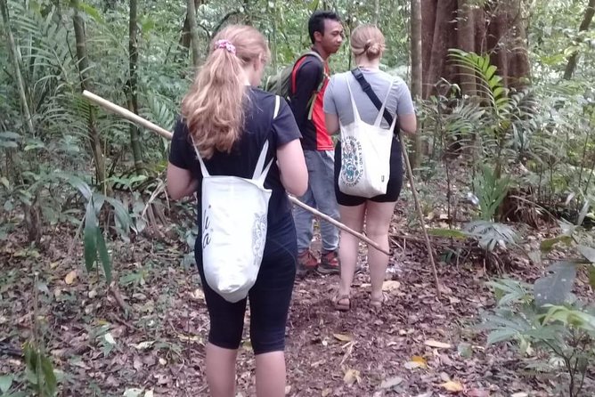 Combine of Tamblingan Waterfall and Twin Lake Tour - Crossing Tamblingan Lake by Dugout Canoe