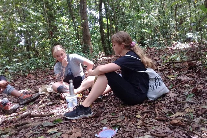 Combine of Tamblingan Waterfall and Twin Lake Tour - Taking in Tropical Rainforest Adventure
