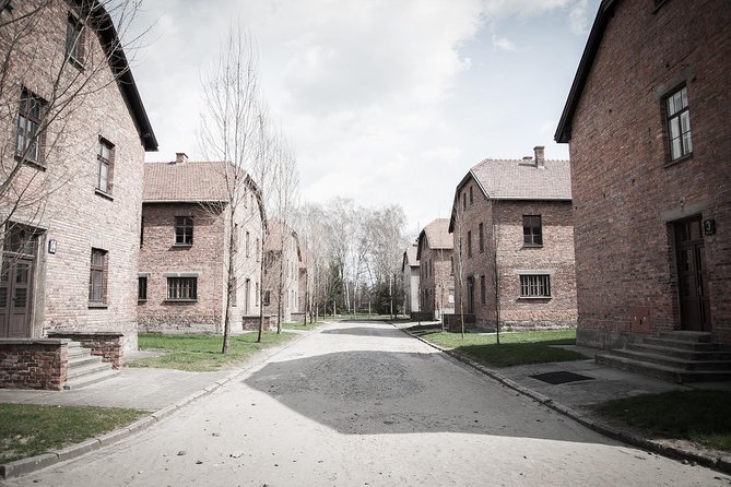 Combined: Auschwitz Birkenau and Salt Mine Private Chauffeur From Krakow - Pickup and Schedule