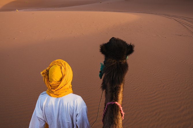 Combined Tour: Atlas Mountains Trek and Sahara Desert 5 Days Tour - Itinerary Details