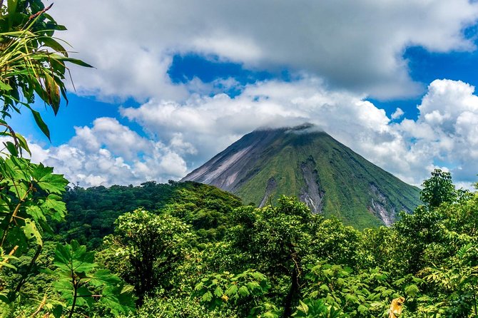 Combined Tour (Hanging Bridges, La Fortuna Waterfall, Arenal Volcano) - Traveler Feedback