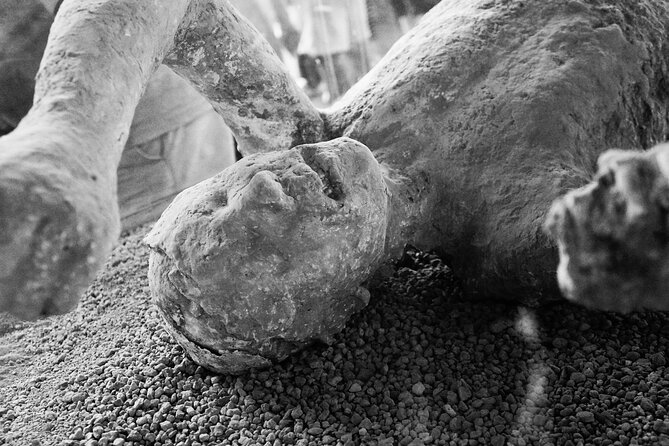 Combined Tour of Vesuvius and Pompeii Ruins With Audio Guide - Summary of Tour Reviews