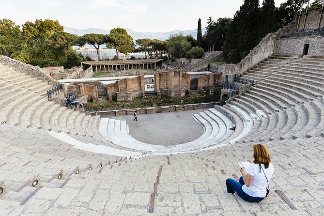 Combined Tour of Vesuvius and Pompeii Ruins With Audio Guide - Worth The Stay