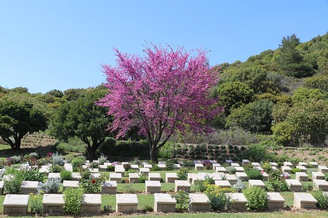 Combined Troy and Gallipoli Tour From Canakkale With Onwards Transfer to Istanbul - Tour Overview