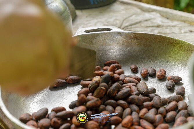 Combo 3: Manuel Antonio Park Tour & Chocolate Tour - Guided Highlights