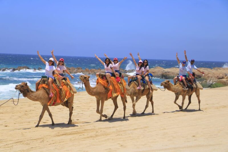Combo 4X4 Automatic ATV & Camel Ride in Cabo by Cactus Tours - Accessibility and Policies