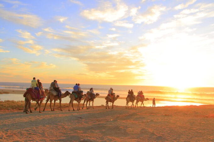 Combo 4X4 Automatic ATV & Camel Ride in Cabo by Cactus Tours - Frequently Asked Questions