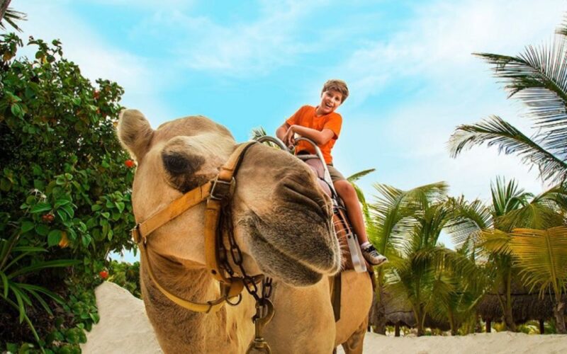Combo Adventure: Parasailing and Camel Caravan in Maroma - Experience Highlights