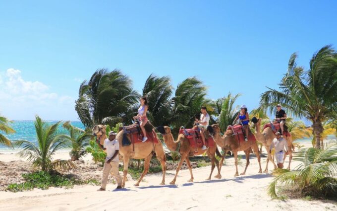 Combo Adventure: Parasailing and Camel Caravan in Maroma - Frequently Asked Questions