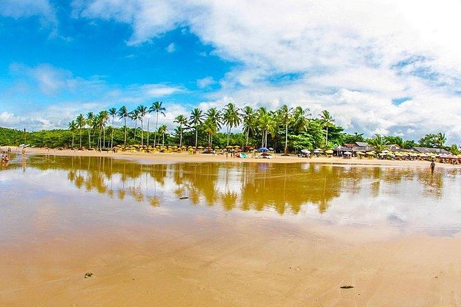 Combo Arraial Da Ajuda / Trancoso / Espelho / City Tour - by Coconut Experience - Key Points