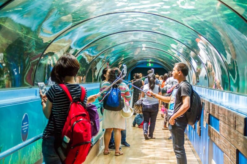 Combo Attraction Pass: Sydney Tower Eye, Sea Life & More - Experience Flexibility