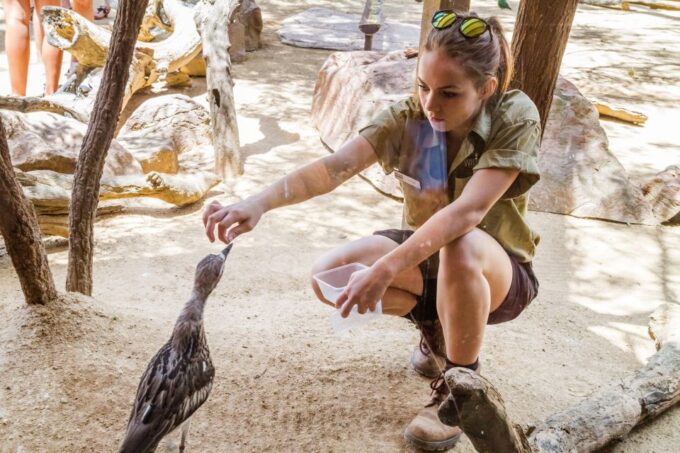 Combo Attraction Pass: Sydney Tower Eye, Sea Life & More - Scenic City Views