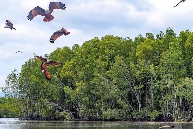 Combo - Cable Car & Sky Bridge And Tg. Rhu Mangrove Private Boat Tour With Lunch - Transportation and Accessibility