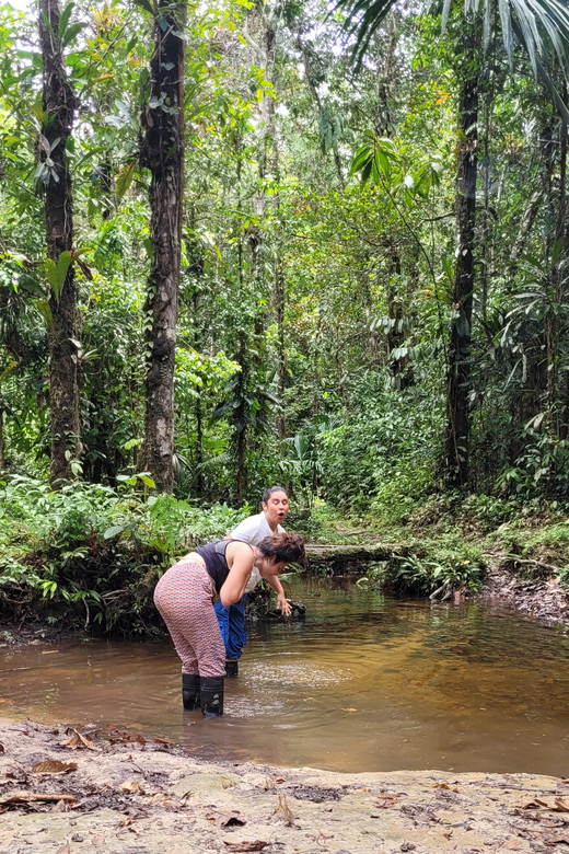 Combo Calderon Amazon - Jungle Landscapes and Activities