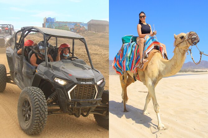 Combo Camel Ride and Extreme Side by Side in Cabo - Transportation Arrangements