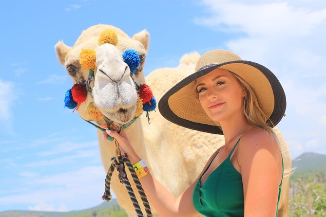 Combo Camel Ride and Extreme Side by Side in Cabo - Costs and Inclusions