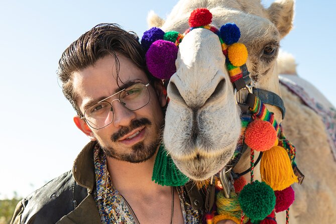Combo Camel Ride and Extreme Side by Side in Cabo - Customer Reviews