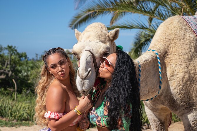Combo Camel Ride and Extreme Side by Side in Cabo - Important Safety Information