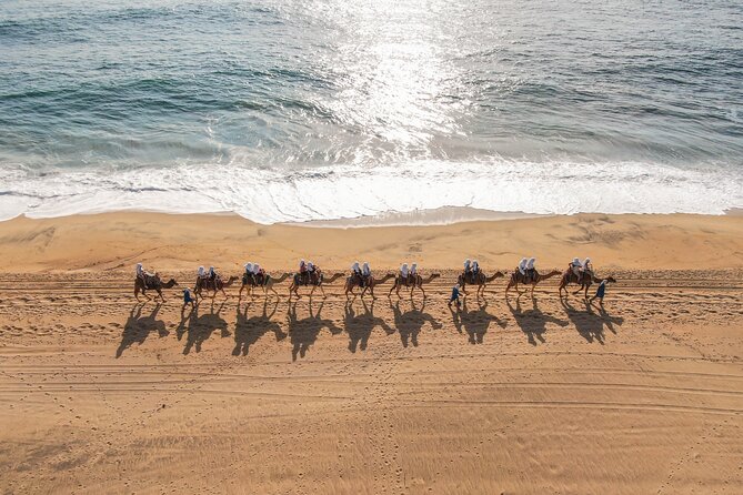 Combo Camel Ride and Extreme Side by Side in Cabo - What to Expect