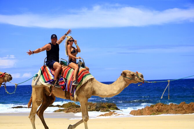 Combo Camel Ride and Extreme Side by Side in Cabo - Booking Your Adventure