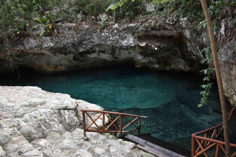 Combo: Cenote Casa Tortuga and Shopping Tour - Key Points