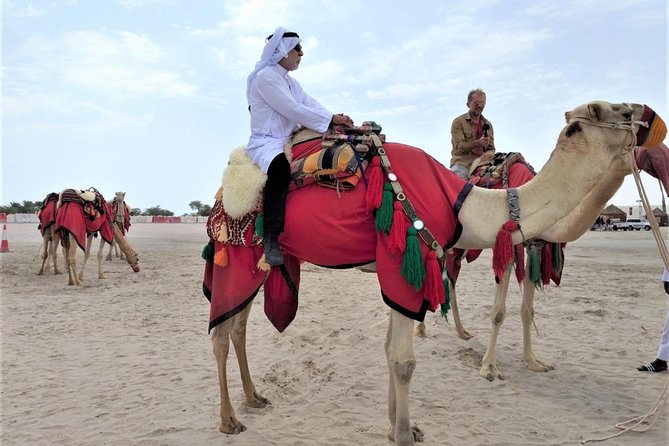 Combo Culture North Qatar and Desert Safari Tour - Tour Overview