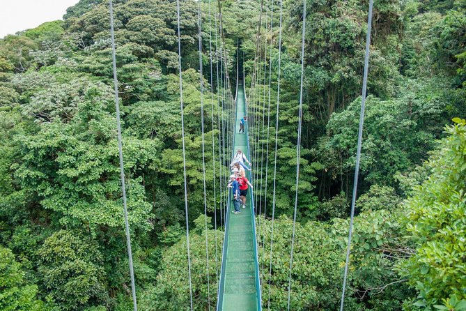 Combo: Day Trip to Hanging Bridges + ZipLine in Monteverde - Inclusions
