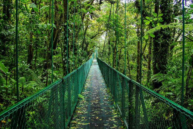 Combo: Day Trip to Hanging Bridges + ZipLine in Monteverde - Transportation and Accessibility