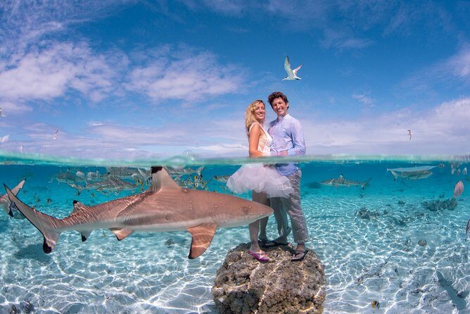 Combo Diving and Snorkeling Full Day Tour - The Sum Up: Is It Worth It?