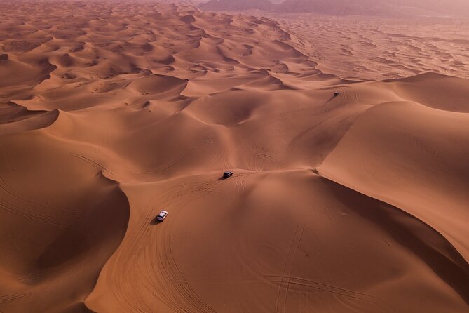 Combo Doha City Tour and Desert Safari - Thrilling Desert Safari