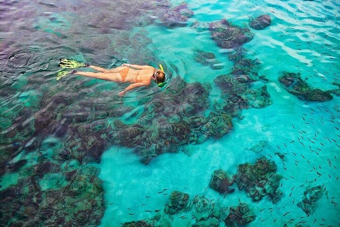 COMBO: Dolphin, Sea Cave & Captain Cook / Kealakekua Bay Snorkel - Booking Confirmation