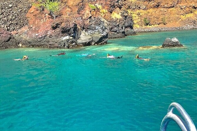 COMBO: Dolphin, Sea Cave & Captain Cook / Kealakekua Bay Snorkel - Swimming Requirements