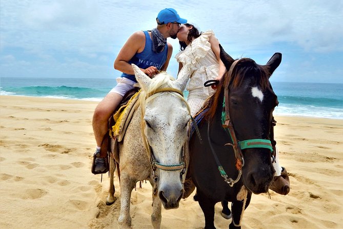 Combo Double Atv + Horses - Inclusions