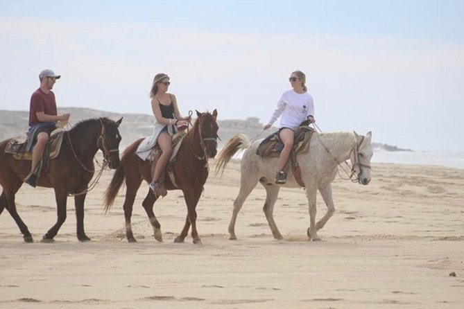 Combo Double Atv + Horses - Pickup Information