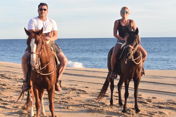 Combo Double Atv + Horses - Health and Safety Restrictions