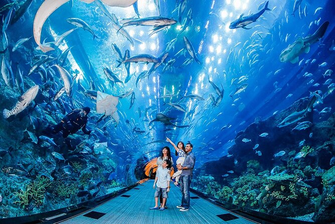 Combo Dubai Mall Aquarium + Skyview Observatory Tickets - Ticket Pricing and Bundling Options