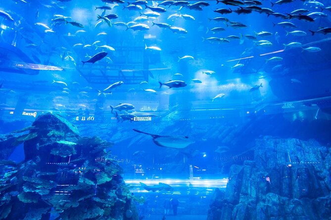 Combo Dubai Mall Aquarium + Skyview Observatory Tickets - Guest Reviews and Ratings