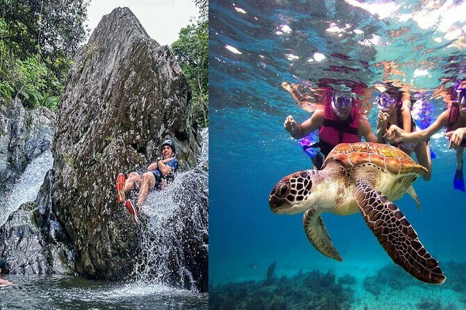 Combo El Yunque Rainforest and San Juan Snorkeling with Transport - Key Points