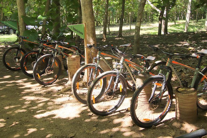 Combo Jungle Double ATV Tour (Ride Tandem on ATV ) + Jungle Bike Tour (2) - Additional Considerations