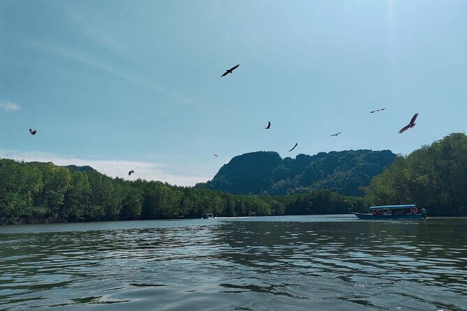 Combo Langkawi Cable Car & Sky Bridge With Mangrove Private Boat - What Reviewers Say