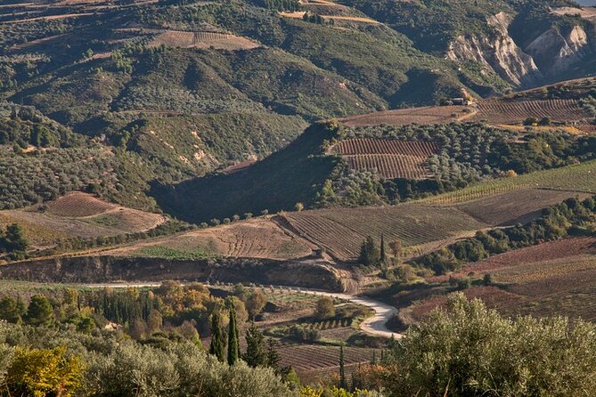 Combo: Mycenae and Wine Tour From Nafplio - Accessibility and Age Restrictions