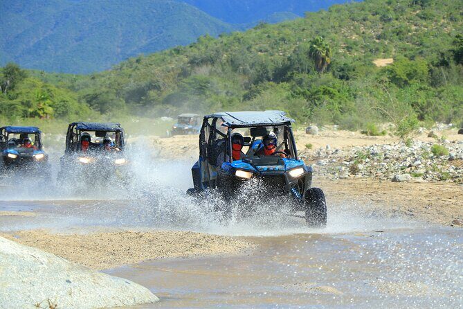 Combo Off Road 4x4 UTV Camel Ride Lunch and Tequila Tasting - An In-Depth Look at the Tour Itinerary