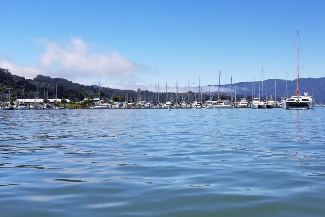 Combo Small-Group Tour: SF City Plus Muir Woods & Sausalito - Traveler Experience and Feedback