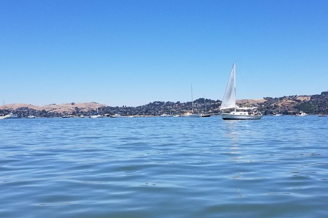 Combo Small-Group Tour: SF City Plus Muir Woods & Sausalito - Exploring San Francisco Landmarks