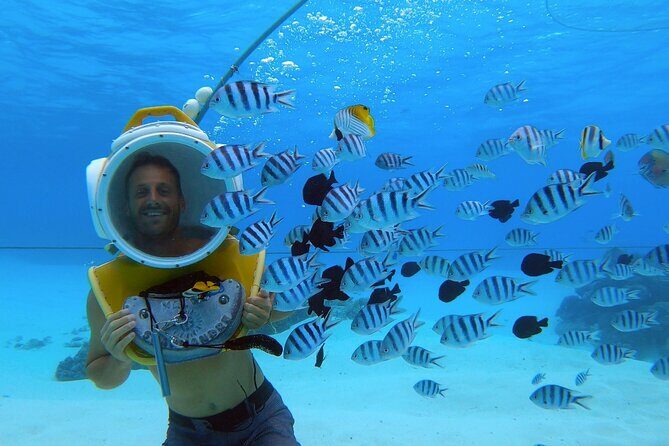 Combo snorkeling + motu lunch + jet ski group tour full day - The Sum Up