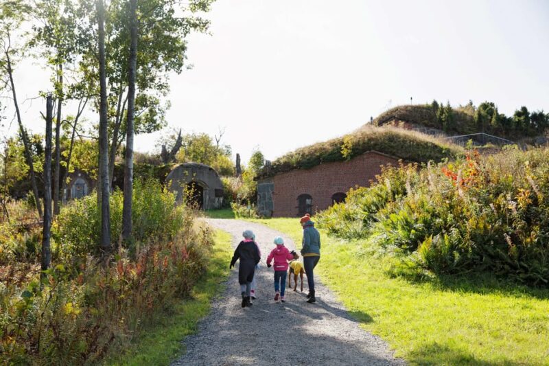 Combo Ticket: Vallisaari, Suomenlinna and Lonna in 2 Days - Ferry Schedules and Planning