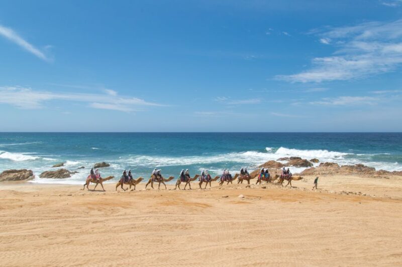 Combo Tour: Camel Ride + Snorkeling Adventure - Important Information
