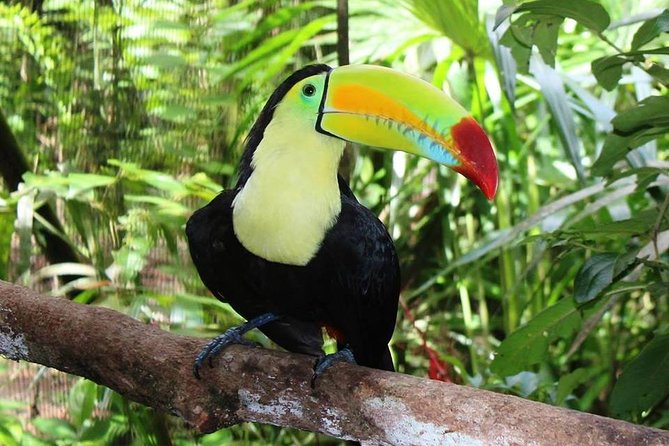 Combo Tour Cave Tubing and Xunantunich Mayan Site - Fun Day in Belize - Xunantunich Mayan Temple