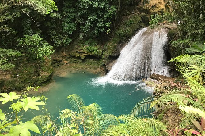 Combo Tour Dunns River Falls and Bluetour From Falmouth - Tour Inclusions and Logistics